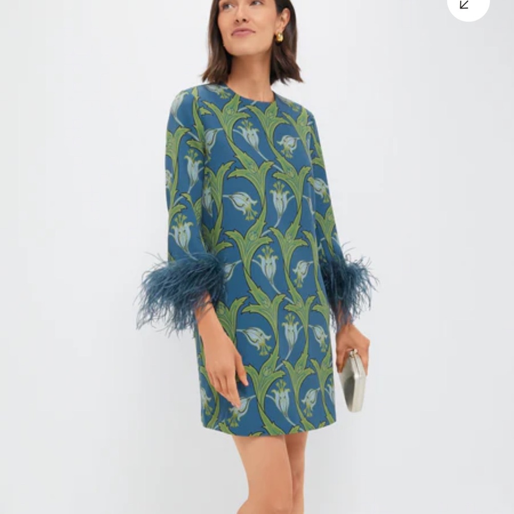Tuckernuck Blue and Green Patterned Mini Dress with Feather Cuffs